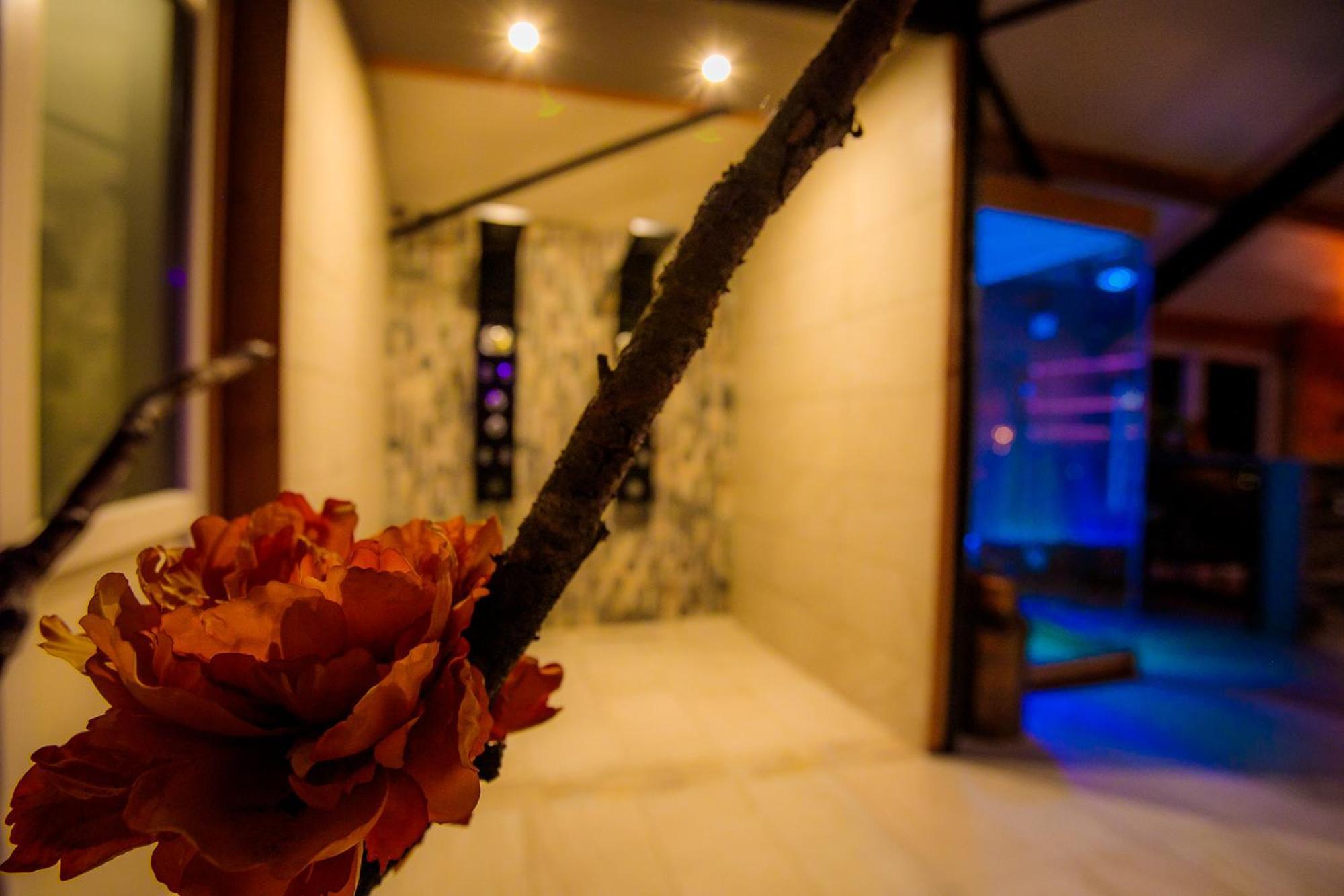 Angerlo B&B En Wellness De Waalhoeve المظهر الخارجي الصورة